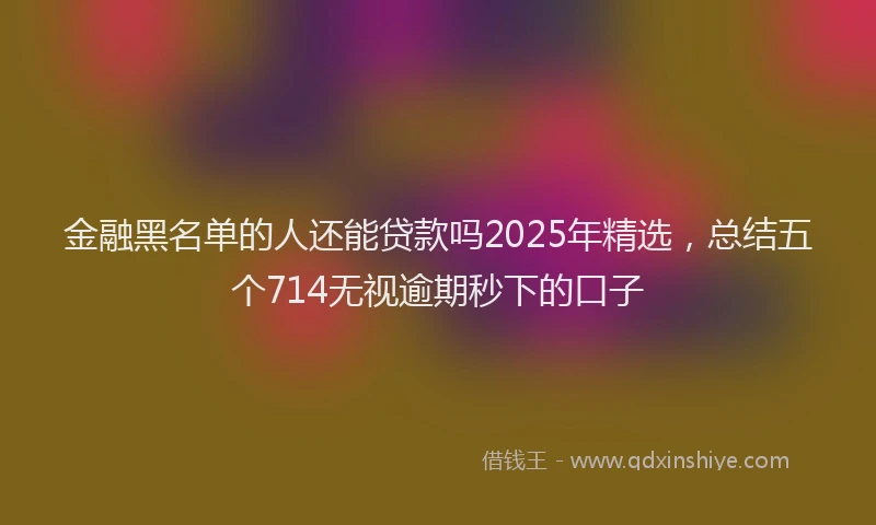 金融黑名单的人还能贷款吗2025年精选，总结五个714无视逾期秒下的口子