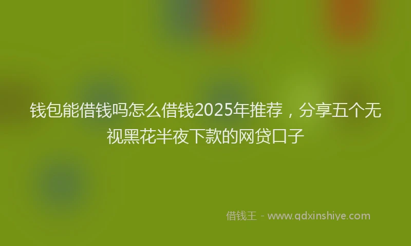 钱包能借钱吗怎么借钱2025年推荐，分享五个无视黑花半夜下款的网贷口子