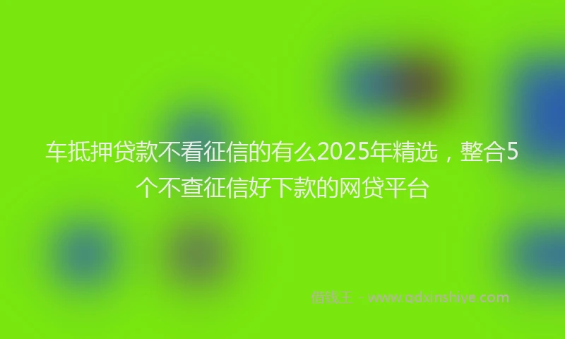 车抵押贷款不看征信的有么2025年精选，整合5个不查征信好下款的网贷平台