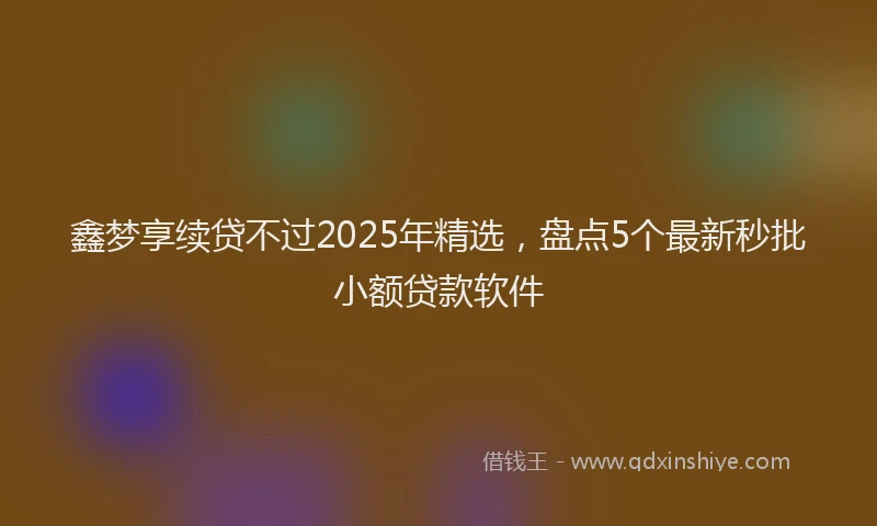 鑫梦享续贷不过2025年精选，盘点5个最新秒批小额贷款软件
