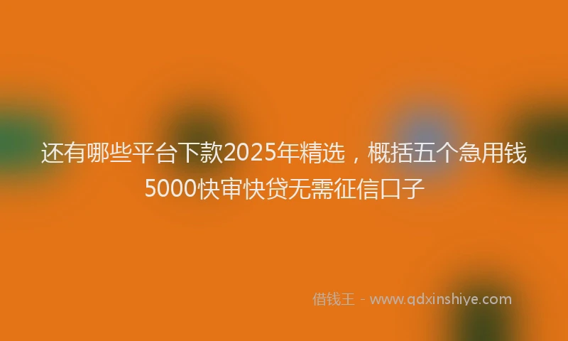 还有哪些平台下款2025年精选，概括五个急用钱5000快审快贷无需征信口子