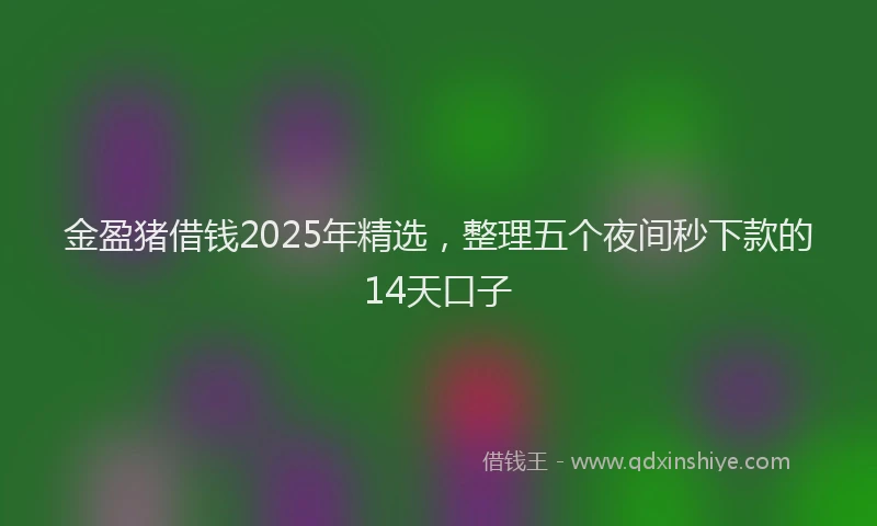 金盈猪借钱2025年精选，整理五个夜间秒下款的14天口子