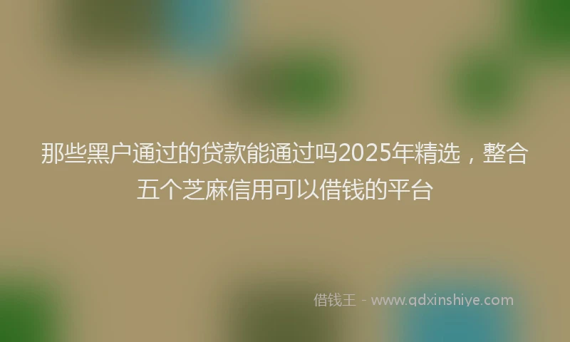 那些黑户通过的贷款能通过吗2025年精选，整合五个芝麻信用可以借钱的平台