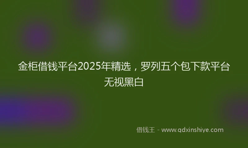 金柜借钱平台2025年精选，罗列五个包下款平台无视黑白