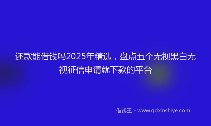 还款能借钱吗2025年精选，盘点五个无视黑白无视征信申请就下款的平台