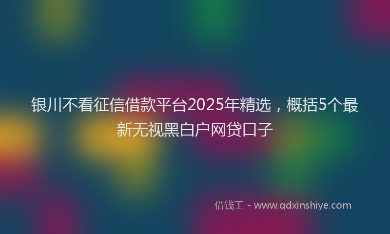 银川不看征信借款平台2025年精选，概括5个最新无视黑白户网贷口子