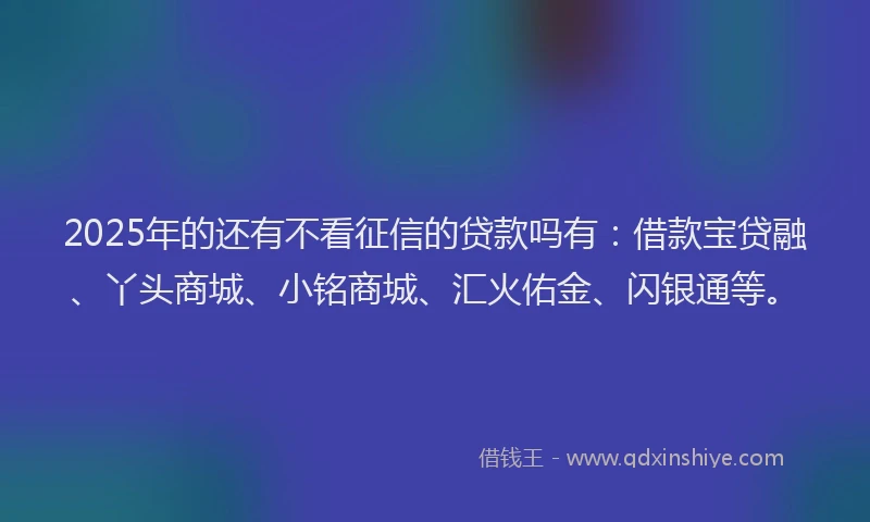 2025年的还有不看征信的贷款吗有:借款宝贷融、丫头商城、小铭商城、汇火佑金、闪银通等。