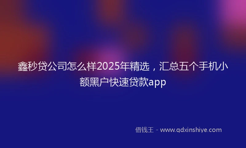 鑫秒贷公司怎么样2025年精选，汇总五个手机小额黑户快速贷款app