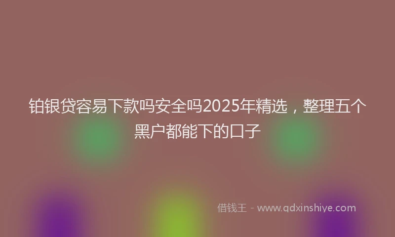 铂银贷容易下款吗安全吗2025年精选，整理五个黑户都能下的口子