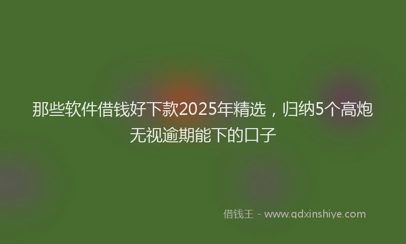 那些软件借钱好下款2025年精选，归纳5个高炮无视逾期能下的口子
