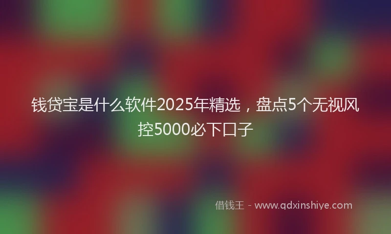 钱贷宝是什么软件2025年精选，盘点5个无视风控5000必下口子