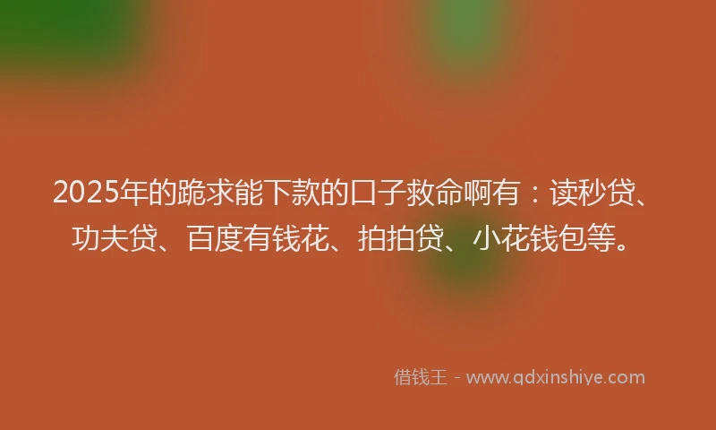 2025年的跪求能下款的口子救命啊有：读秒贷、功夫贷、百度有钱花、拍拍贷、小花钱包等。