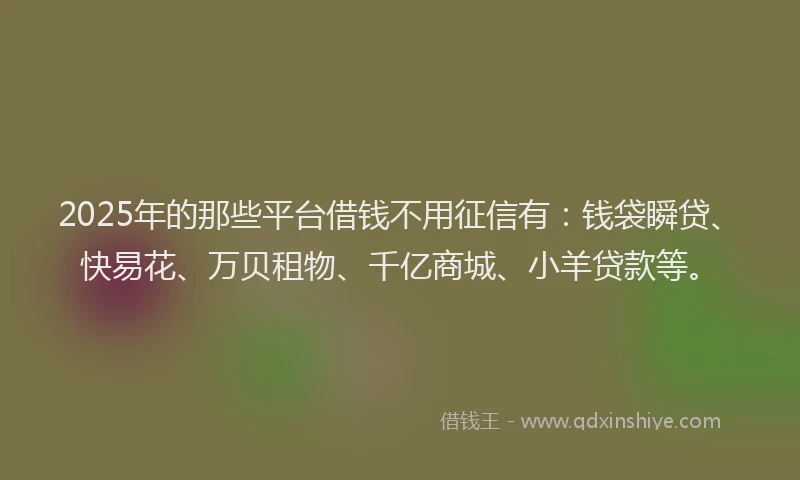 2025年的那些平台借钱不用征信有：钱袋瞬贷、快易花、万贝租物、千亿商城、小羊贷款等。