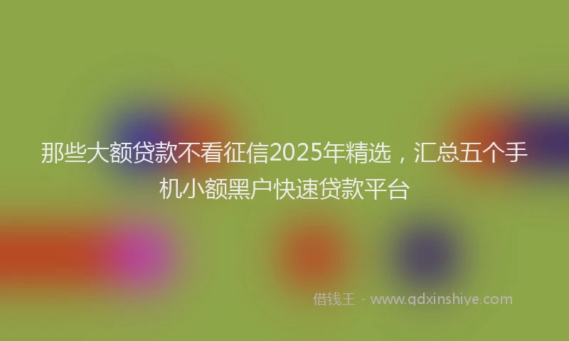 那些大额贷款不看征信2025年精选，汇总五个手机小额黑户快速贷款平台