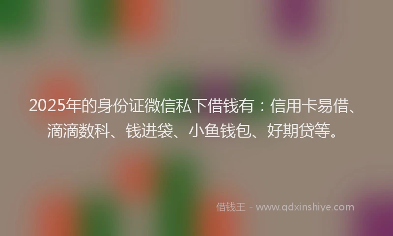 2025年的身份证微信私下借钱有：信用卡易借、滴滴数科、钱进袋、小鱼钱包、好期贷等。