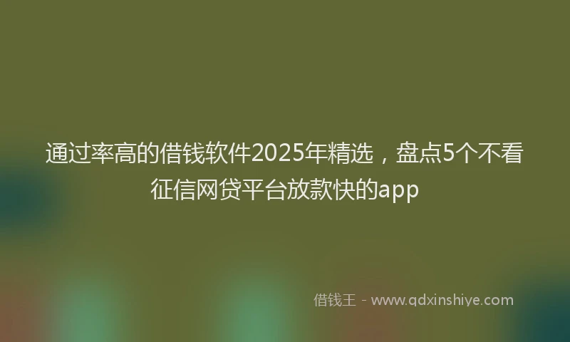 通过率高的借钱软件2025年精选，盘点5个不看征信网贷平台放款快的app