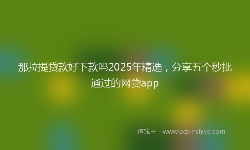 那拉提贷款好下款吗2025年精选，分享五个秒批通过的网贷app