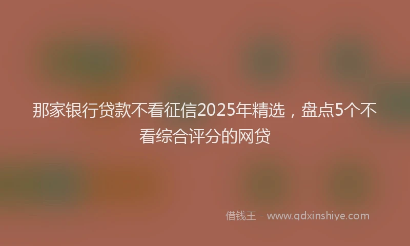 那家银行贷款不看征信2025年精选，盘点5个不看综合评分的网贷