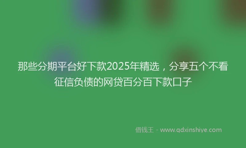那些分期平台好下款2025年精选，分享五个不看征信负债的网贷百分百下款口子