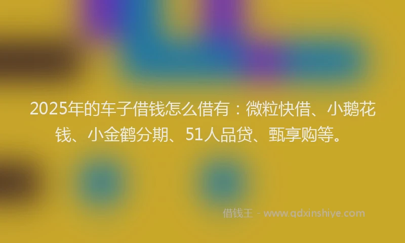 2025年的车子借钱怎么借有：微粒快借、小鹅花钱、小金鹤分期、51人品贷、甄享购等。