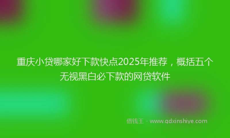重庆小贷哪家好下款快点2025年推荐，概括五个无视黑白必下款的网贷软件