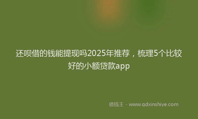 还呗借的钱能提现吗2025年推荐，梳理5个比较好的小额贷款app