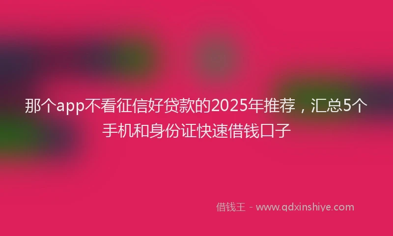 那个app不看征信好贷款的2025年推荐，汇总5个手机和身份证快速借钱口子