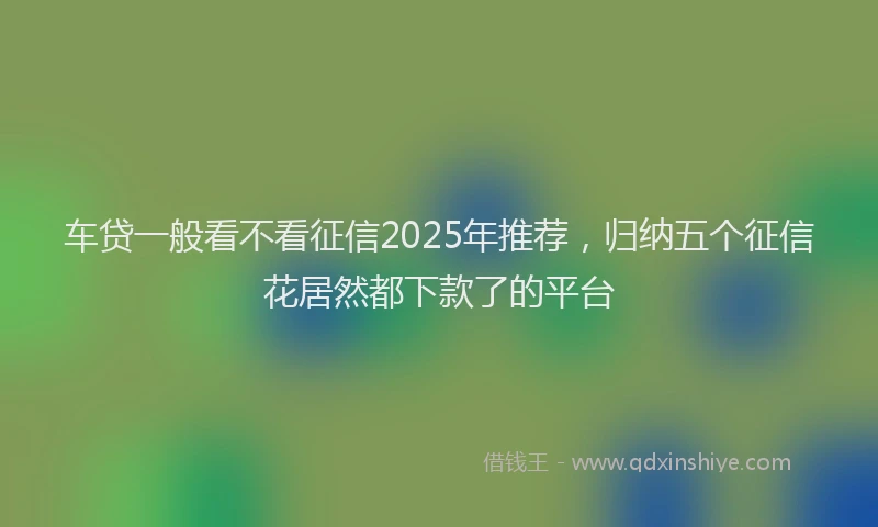 车贷一般看不看征信2025年推荐，归纳五个征信花居然都下款了的平台