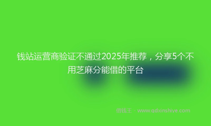 钱站运营商验证不通过2025年推荐，分享5个不用芝麻分能借的平台