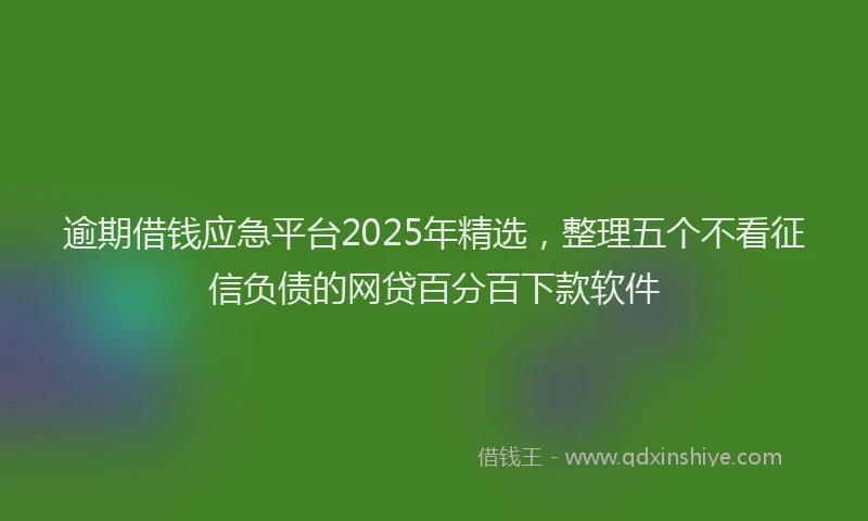 逾期借钱应急平台2025年精选，整理五个不看征信负债的网贷百分百下款软件
