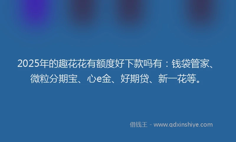 2025年的趣花花有额度好下款吗有：钱袋管家、微粒分期宝、心e金、好期贷、新一花等。