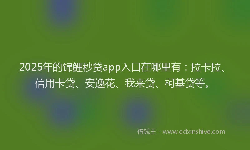 2025年的锦鲤秒贷app入口在哪里有：拉卡拉、信用卡贷、安逸花、我来贷、柯基贷等。