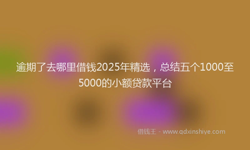 逾期了去哪里借钱2025年精选，总结五个1000至5000的小额贷款平台