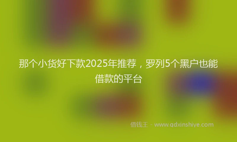 那个小货好下款2025年推荐，罗列5个黑户也能借款的平台
