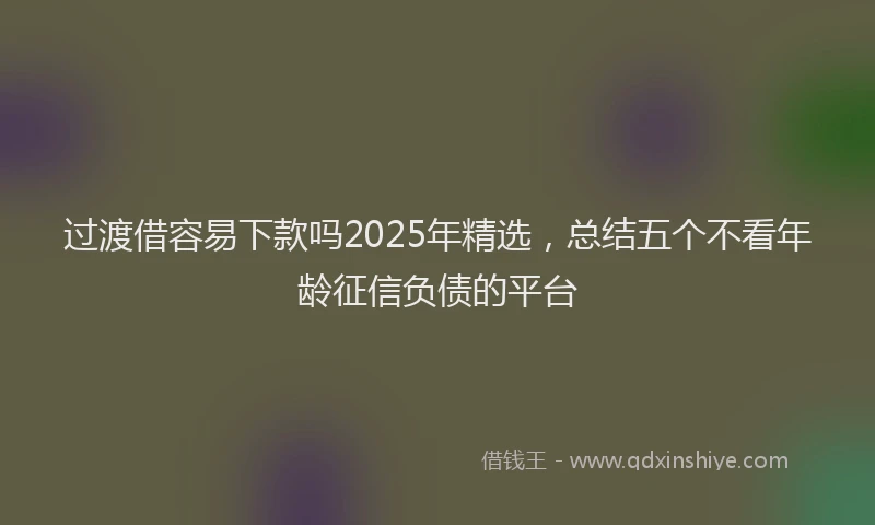 过渡借容易下款吗2025年精选，总结五个不看年龄征信负债的平台