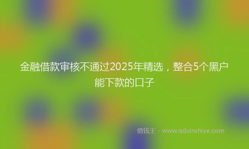 金融借款审核不通过2025年精选，整合5个黑户能下款的口子