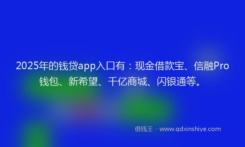 2025年的钱贷app入口有：现金借款宝、信融Pro钱包、新希望、千亿商城、闪银通等。