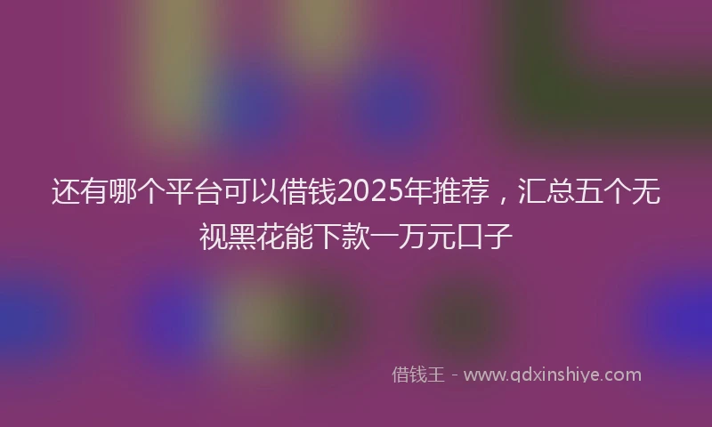 还有哪个平台可以借钱2025年推荐，汇总五个无视黑花能下款一万元口子