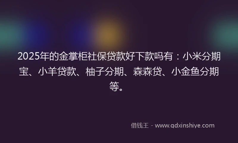 2025年的金掌柜社保贷款好下款吗有：小米分期宝、小羊贷款、柚子分期、森森贷、小金鱼分期等。