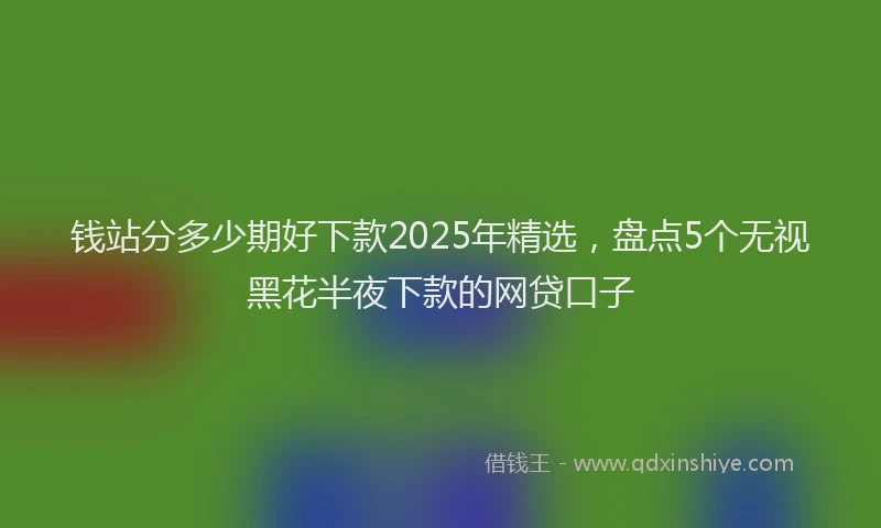 钱站分多少期好下款2025年精选，盘点5个无视黑花半夜下款的网贷口子