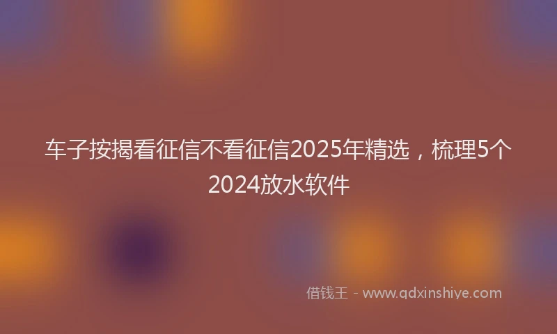 车子按揭看征信不看征信2025年精选，梳理5个2024放水软件