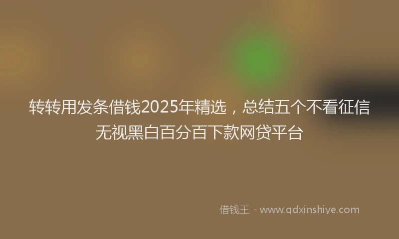 转转用发条借钱2025年精选，总结五个不看征信无视黑白百分百下款网贷平台