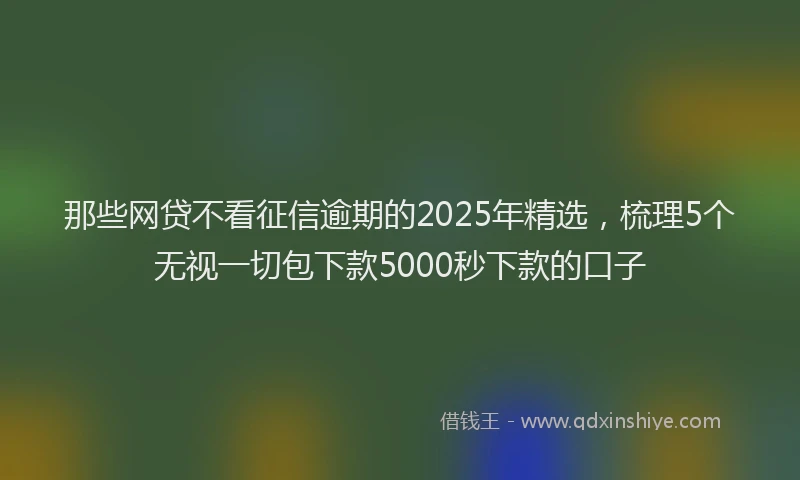 那些网贷不看征信逾期的2025年精选，梳理5个无视一切包下款5000秒下款的口子