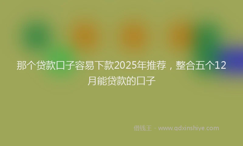 那个贷款口子容易下款2025年推荐，整合五个12月能贷款的口子