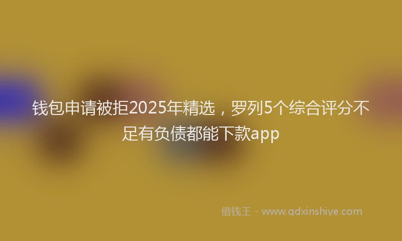 钱包申请被拒2025年精选，罗列5个综合评分不足有负债都能下款app