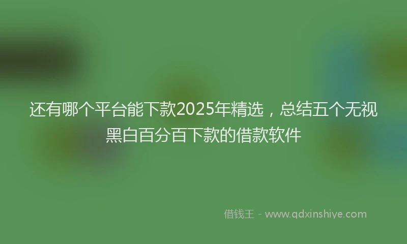 还有哪个平台能下款2025年精选，总结五个无视黑白百分百下款的借款软件