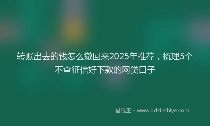 转账出去的钱怎么撤回来2025年推荐，梳理5个不查征信好下款的网贷口子