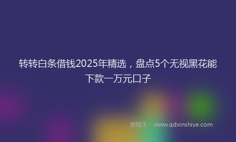 转转白条借钱2025年精选，盘点5个无视黑花能下款一万元口子
