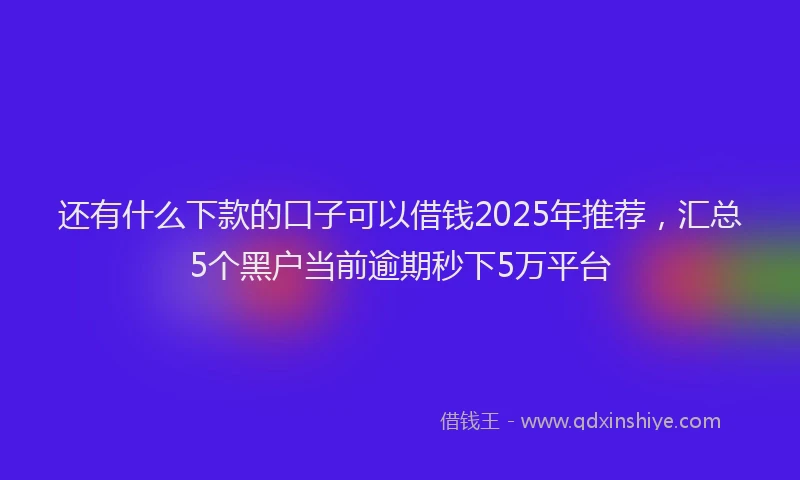 还有什么下款的口子可以借钱2025年推荐，汇总5个黑户当前逾期秒下5万平台