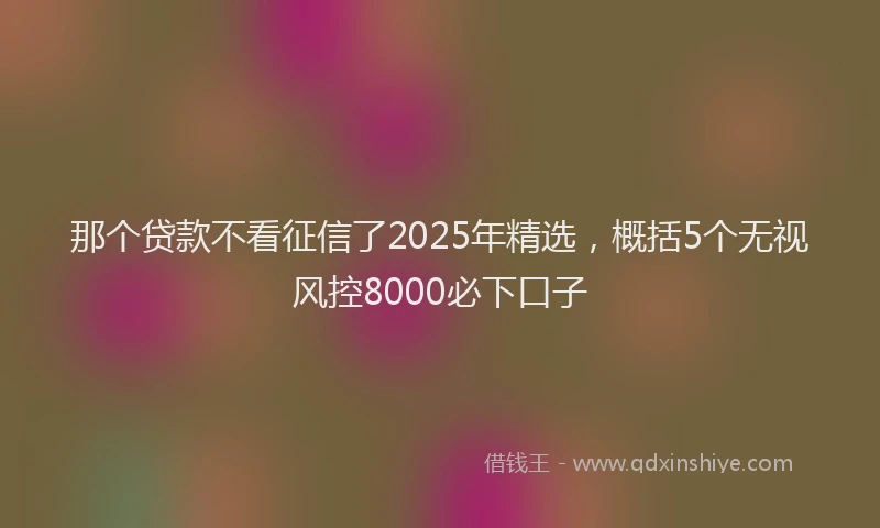 那个贷款不看征信了2025年精选，概括5个无视风控8000必下口子